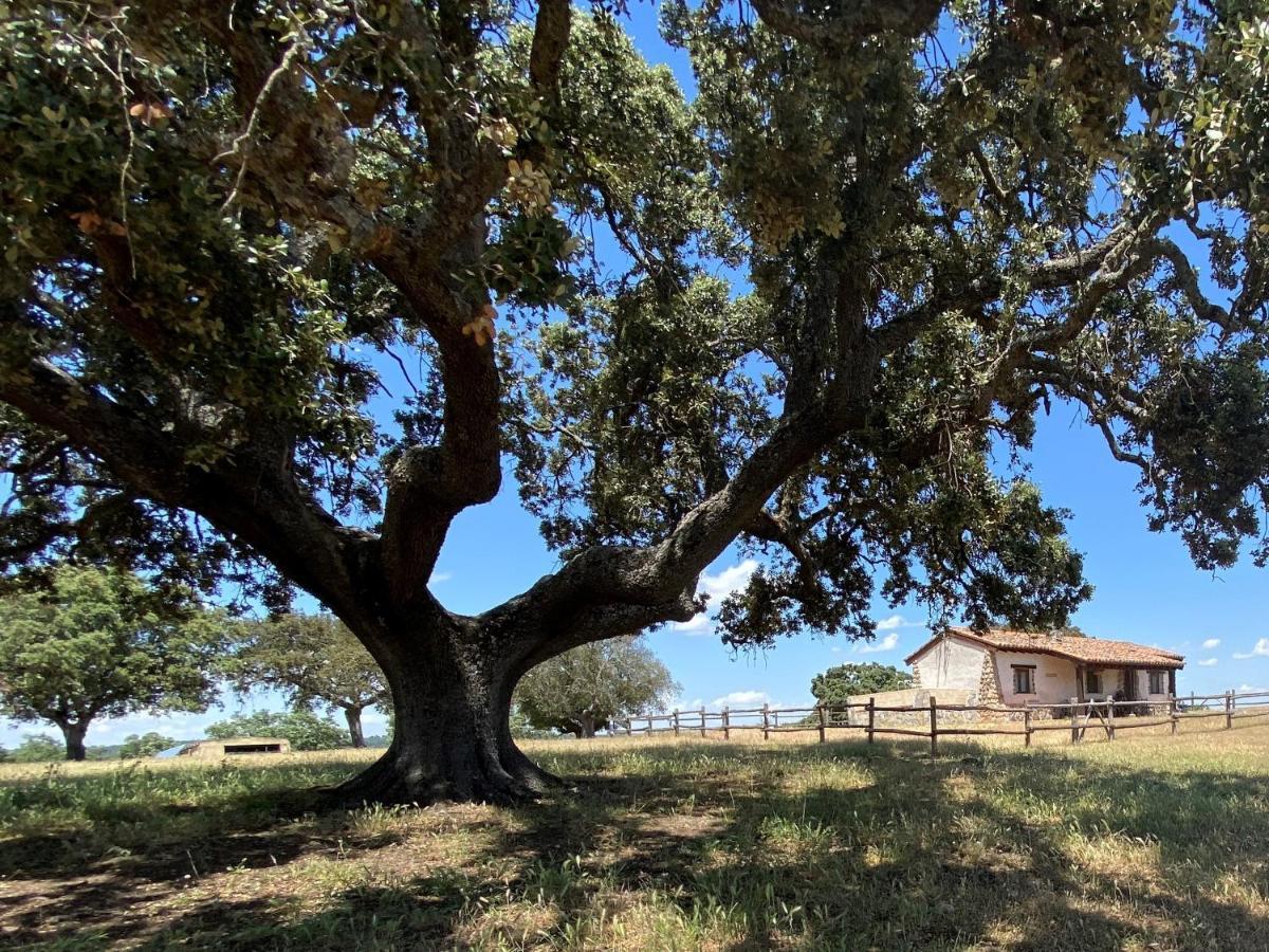 Eco-Lodge En La Reserva Privada Campanarios De Azaba - Proyecto De Conservacion Espeja Dış mekan fotoğraf