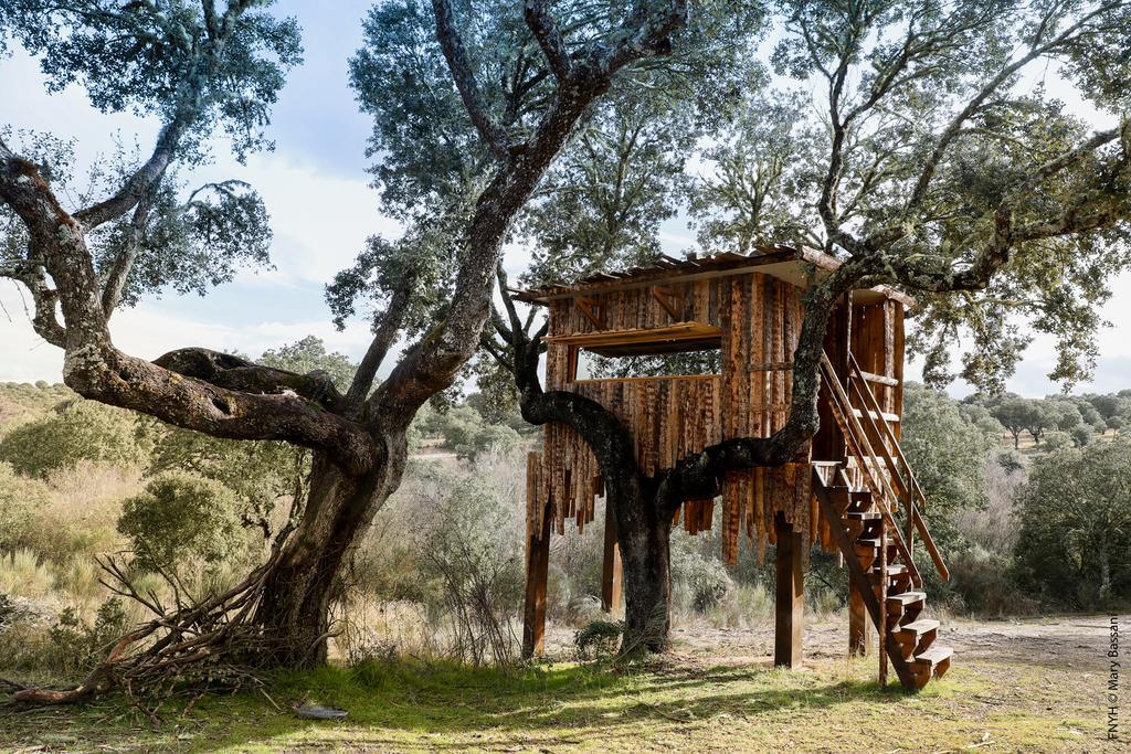 Eco-Lodge En La Reserva Privada Campanarios De Azaba - Proyecto De Conservacion Espeja Dış mekan fotoğraf