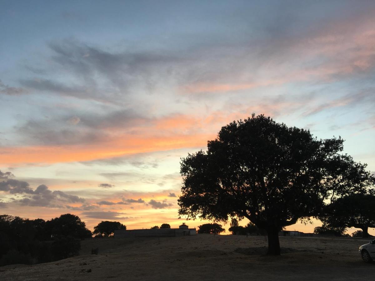 Eco-Lodge En La Reserva Privada Campanarios De Azaba - Proyecto De Conservacion Espeja Dış mekan fotoğraf