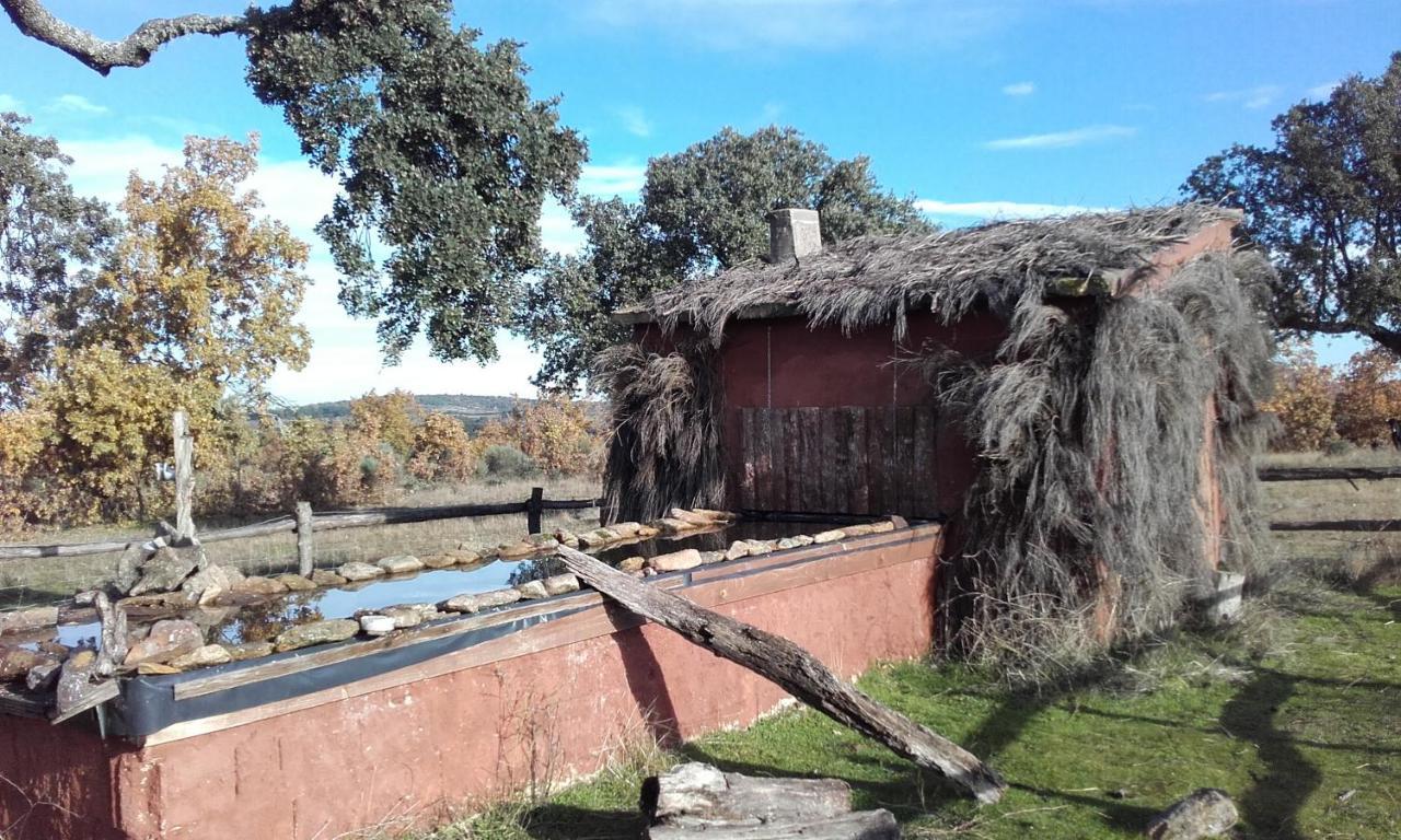 Eco-Lodge En La Reserva Privada Campanarios De Azaba - Proyecto De Conservacion Espeja Dış mekan fotoğraf